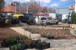 Horticultura Timişoara inaugurează un colţ de speranţă la Spitalul de Copii Louis Țurcanu