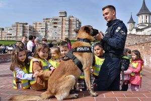 Câinii poliţişti Izzy, Asad şi Gun, în centrul demonstraţiilor de Ziua Poliţiei, la Cetatea Oradea (FOTO)