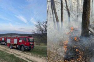 Incendiu de proporţii la vegetaţie uscată şi pădure în Coşteiu de Sus