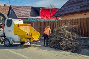 Activitate ecologică, în Sângeorgiu de Mureş
