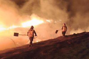 FOTO Flăcări uriaşe în judeţul Botoşani. Incendii în patru localităţi