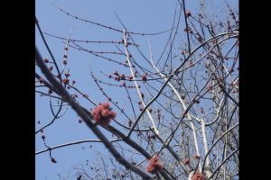 #ConstantaEsteBine: 26 martie 2026. Zi de mijloc de saptamana, catre final de luna martie