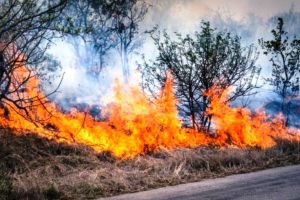 AMENZI uriaşe pentru incendierea miriştilor şi a vegetaţiei uscate! Ce transmite Direcţia Judeţeană de Mediu Vrancea