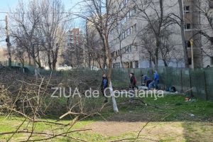FOTO+VIDEO: Copacii marcati din zona Abator, taiati. Pe teren ar urma sa fi construita o parcare 
