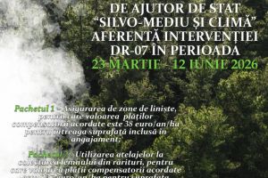 Proprietarii de păduri pot cere bani de la APIA