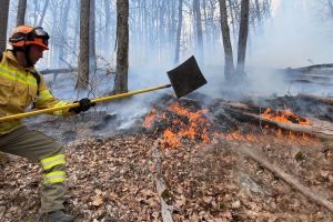 Incendii în lanţ în Bihor: 10 focare într-o singură zi. Case, cabane şi o pădure, salvate de pompieri