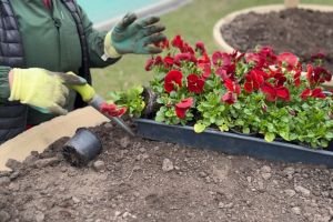 VIDEO Braşovul se pregăteşte pentru primăvară şi Paşte