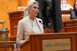 Raluca Turcan anunţă extinderea tichetelor casnice: Sibiu, printre judeţele active în program