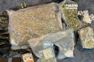 Aproximativ 1,2 kilograme de canabis, descoperite în urma percheziţiilor domiciliare şi auto