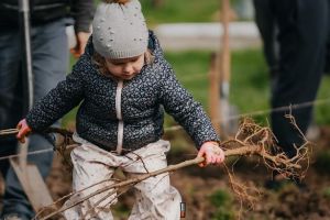 CODRU plantează în Remetea Mare!