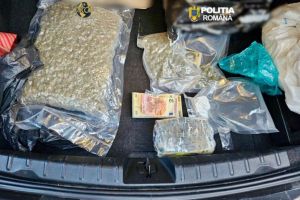 Peste 1 kilogram de canabis, in urma unor perchezitii in Ialomita