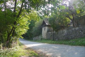 Luna pădurii – Continuarea unei tradiţii – Sărbătoarea sădirii arborilor