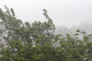 Cod Galben de vânt puternic şi precipitaţii în mai multe regiuni din ţară. Avertizare şi pentru Olt