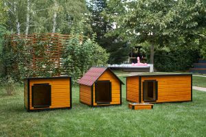 Cum să îţi pregăteşti prietenul necuvântător pentru sezonul de iarnă