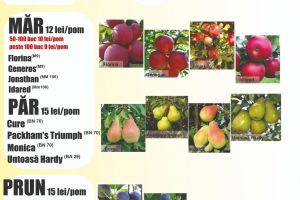 Oferta primăverii la Staţiunea Pomicolă: soiuri de măr, păr, prun