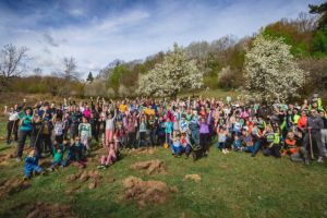 Campanie verde la Cisnădie: vor fi plantaţi 1300 de copaci