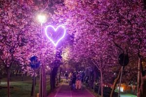 FOTO. Tunelul iubirii, luminat cu mai multe inimi LED
