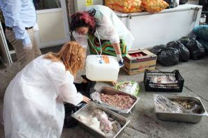 Controale DSVSA în Satu Mare: avertismente pentru comercianţi şi verificări intensificate înainte de Paşte