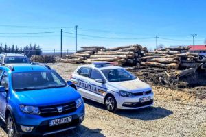 Controale ample ale Gărzii Forestiere Focşani în februarie: zeci de amenzi şi sute de metri cubi de lemn confiscat