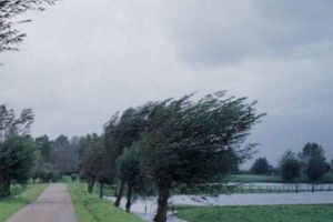 ? Alertă meteo în judeţul Olt: zeci de localităţi vizate de avertizare nowcasting. A fost transmis RO-ALERT!