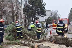 Acum! Vântul face ravagii în Argeş. Cod portocaliu, parcuri închise în Piteşti