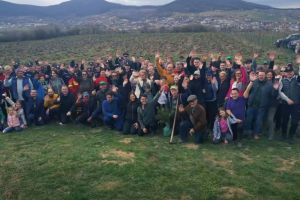 În zona Parcului Industrial din Sărata au fost plantaţi 4.500 de puieţi