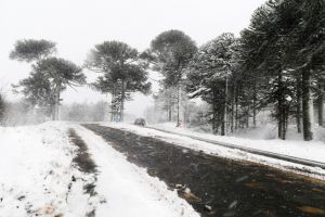 Iarna se dezlantuie  in aceasta dimineata! ANM a emis Cod portocaliu de ninsori si vant