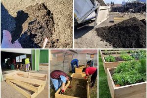 Primăvara - momentul perfect pentru compostare şi grădini roditoare (FOTO)