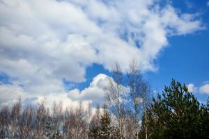 #ConstantaEsteBine: 28 martie 2026. Energia primaverii aduce forfotul vietii si dinamica fizica