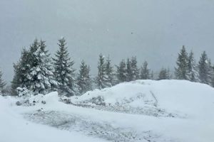 Cod portocaliu de ninsori şi vânt puternic în mai multe judeţe: la Sibiu este cod galben