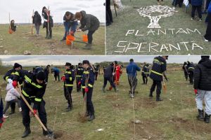 O pădure de la zero: Aproape 3.000 de voluntari au plantat zeci de mii de copaci, în lunca Crişului Repede, la Săcădat (FOTO)