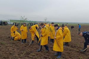 Un gest simbolic pentru un viitor verde. Peste 170 de arbori plantaţi de jandarmii timişeni, la aniversarea instituţiei