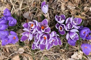 #ConstantaEsteBine: 29 martie 2026. Schimbarile de primavara se resimt intensiv in ajustarile corporale