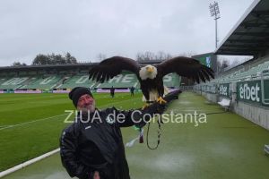 FOTO+VIDEO: Un vultur maiestuos, prezenta inedita la meciul Ludogoret Razgrad - Farul Constanta!