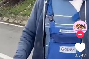 Scene şocante în Vâlcea! Două femei, agresate în plină stradă în timp ce hrăneau câini abandonaţi. Violenţă, ameninţări şi teroare lângă Pădurea Cotoşmanu