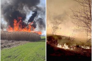 Ne enervează: Prostul obicei de a da foc resturilor uscate, provocând riscuri de incendiu
