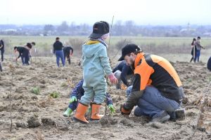 Pădurea comunitară de la Ineu a crescut: încă o jumătate de hectar plantată de voluntari (FOTO)