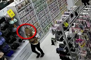 ,,Shopping” ratat: o sătmăreancă a furat două perechi de adidaşi din mall, dar a fost aşteptată la ieşire. Ce pedeapsă a primit
