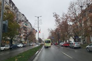 Cum vor fi alungate ciorile care şi-au făcut cuiburi pe Bd. Independenţei