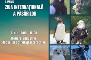 Zoo Braşov marchează Ziua Internaţională a Păsărilor, pe 1 aprilie