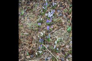 #ConstantaEsteBine: 30 martie 2026. Final de luna martie si aproape luna plina in Balanta (pe 1 aprilie)