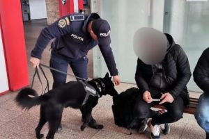 Acţiune amplă a poliţiştilor în transportul feroviar: sute de sancţiuni şi infracţiuni descoperite în 7 judeţe. Mecanic de tren din Olt, prins cu motorină furată
