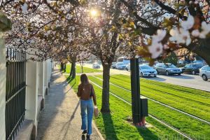 Vremea în Crişana: răcire bruscă la final de martie, urmată de încălziri semnificative în aprilie