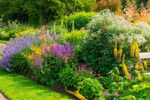 Amenzi pentru români. UE interzice plante pe care mulţi le au deja în grădină