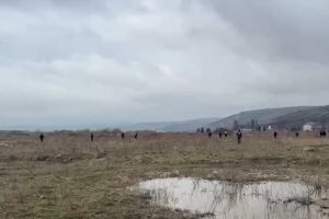 Poliţia Mureş, precizări despre căutarea fetiţelor dispărute din Târnăveni