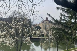 Ce facem astăzi, 31 martie 2026, în Timişoara?