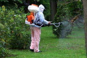 Dezinsecţie în Satu Mare: acţiune împotriva căpuşelor şi ţânţarilor, în această săptămână