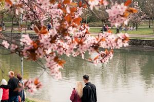 Căldură neobişnuită până de Paşte. Temperaturi peste normal în toată ţara