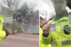 VIDEO Sindicatul Europol, după ce poliţiştii din Botoşani l-au scos cu forţa din maşină pe un şofer fără permis: „Atunci când Poliţia vrea să facă „contract” cu tine şi tu nu vrei...”