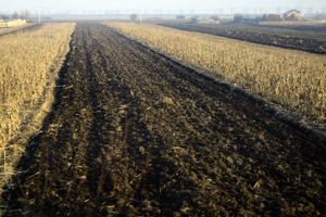 Preţul pentru îngrăşământ s-a dublat. Alimentele vor deveni mult mai scumpe